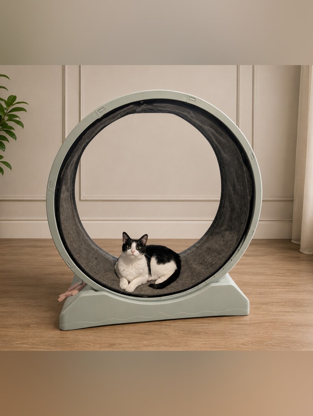 One Fast Cat Exercise Wheel Cat Treadmill Running Wheel Mint Green w/ Pink Fish - Picture 5 of 5
